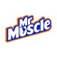 Mr Muscle