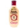 BOTANIC THERAPY SAMPON 250ML RICIN OIL ALMOND