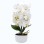 FLORI ARTIFICIALE IN GHIVECI CERAMIC ORH DIVERSE CULORI WEI A-11283