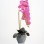 FLORI ARTIFICIALE ORHIDEE IN GHIVECI CERAMIC+PVC WEI A-80101
