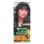 GARNIER COLOR NATURALS VOPSEA PAR 1.1 NEGRU RECE