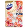 DOMESTOS ODORIZANT WC BILE 2X55G FRUCTUL DRAGONULUI