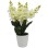 FLORI ARTIFICIALE TEXTIL+PVC WEI A-80681