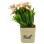 FLORI ARTIFICIALE IN GHIVECI PVC WEI A-80703