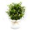 FLORI ARTIFICIALE IN GHIVECI PVC WEI A-80728