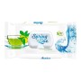 SPRING LINE SERVETELE UMEDE 100BUC